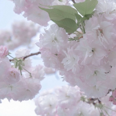 永年FurryQQ群介绍